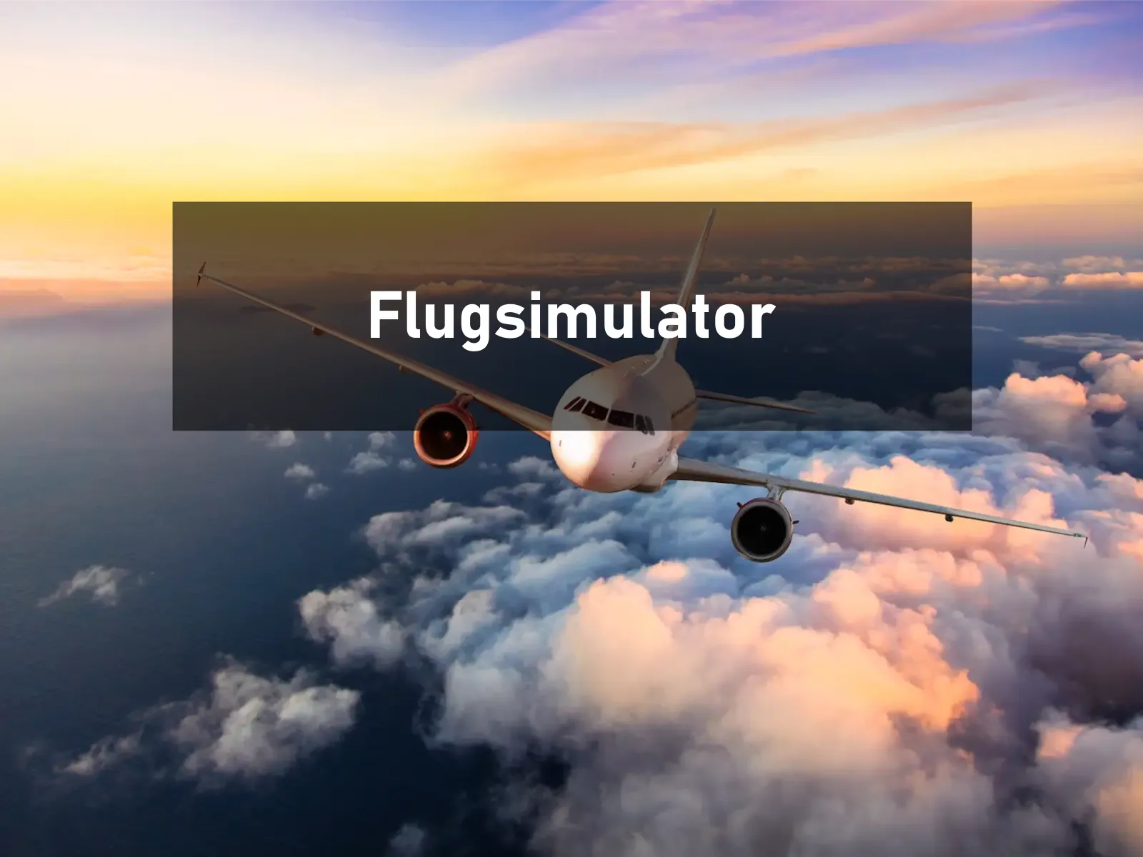 Flugsimulator