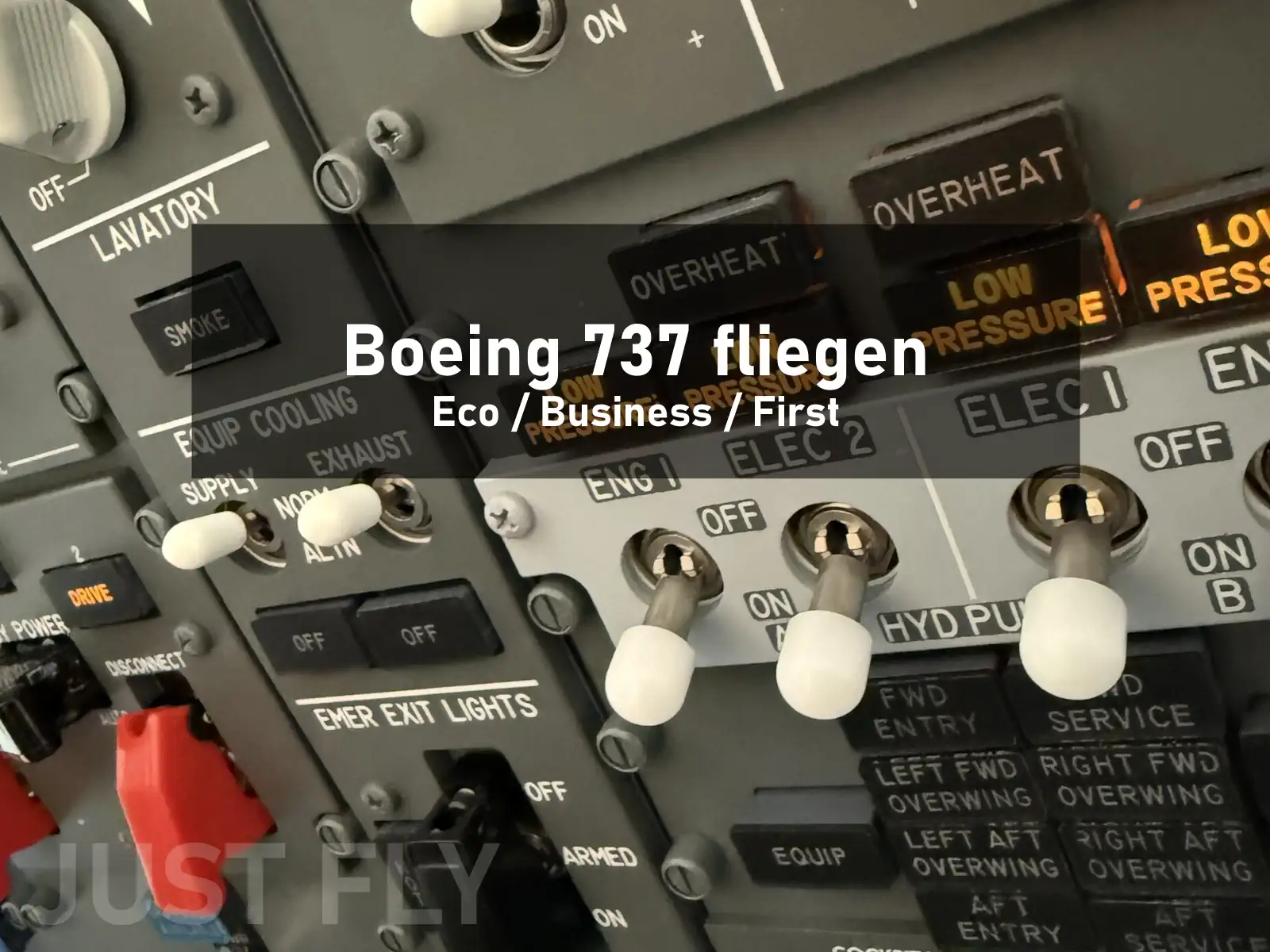 Boeing 737 fliegen