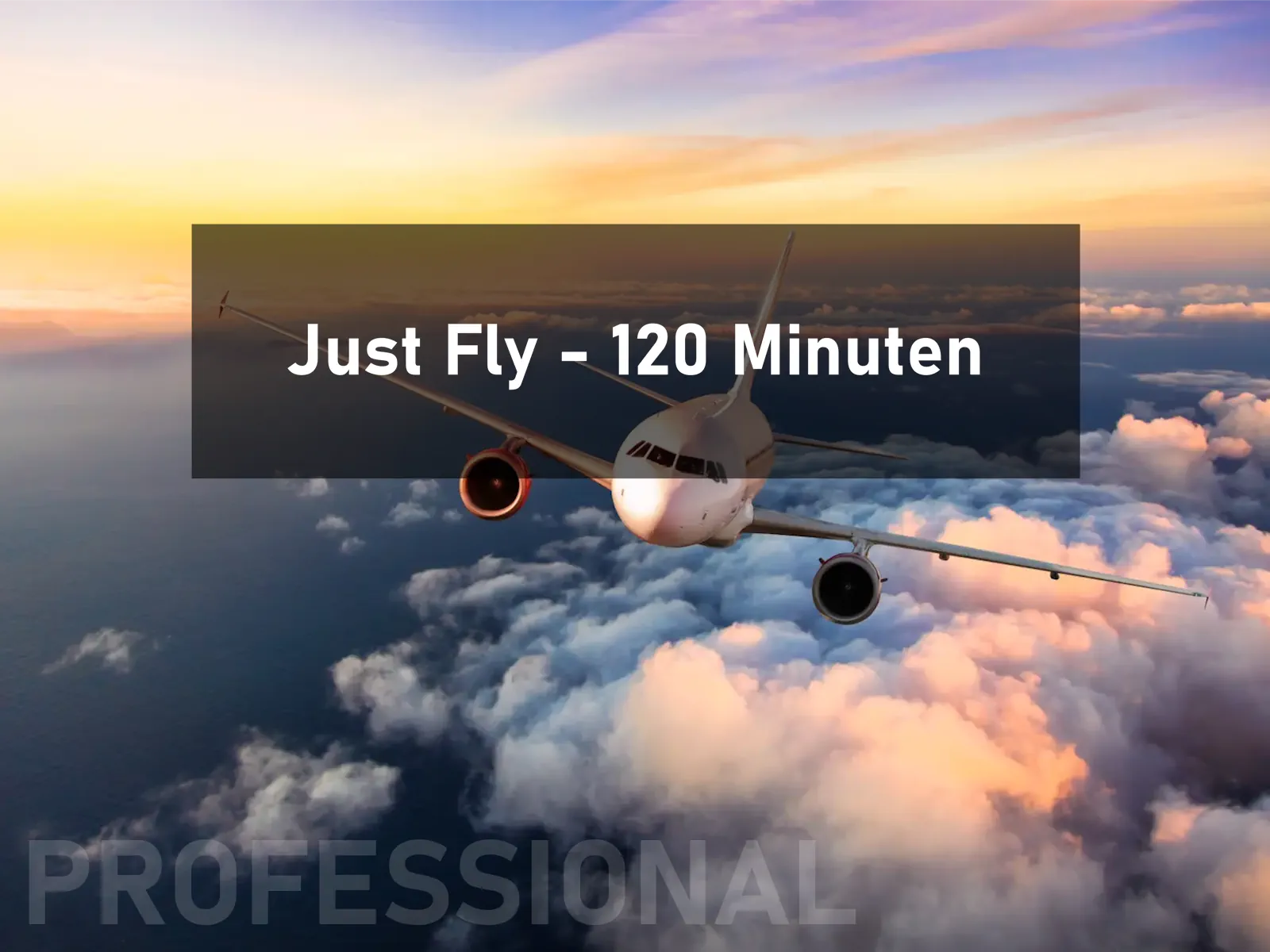 Just Fly - Professional (120 Minuten)