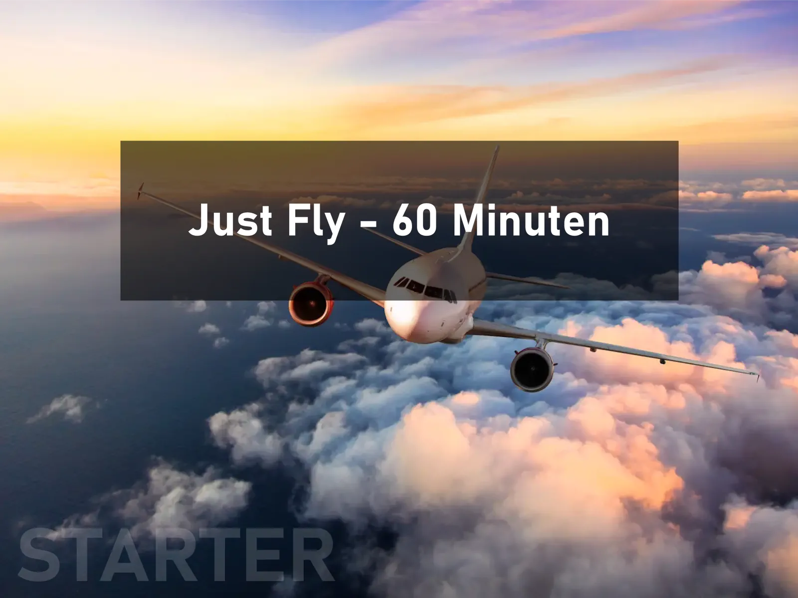 Just Fly - Starter (60 Minuten)