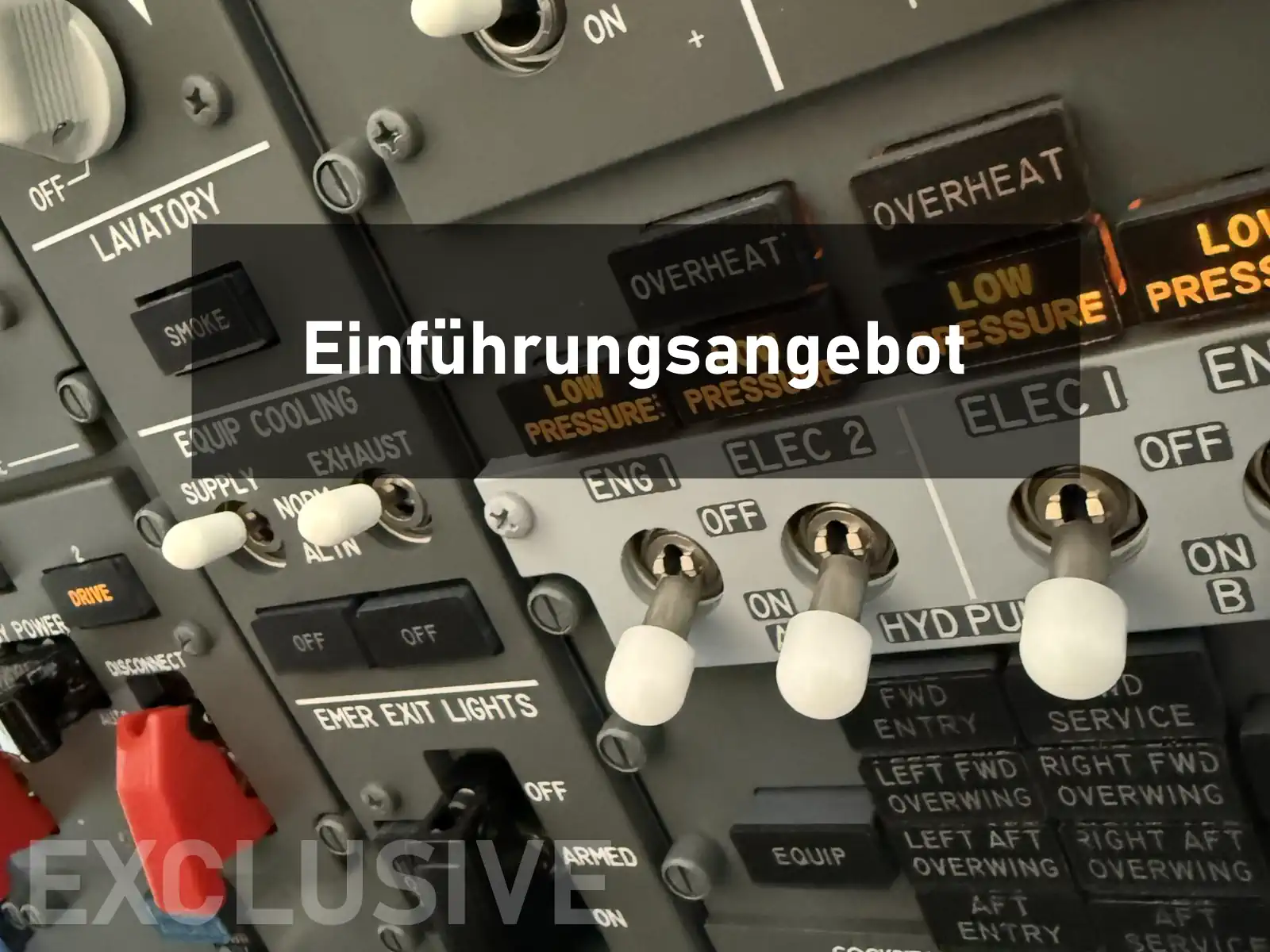 Angebot Boeing 737-800 (120 Minuten)