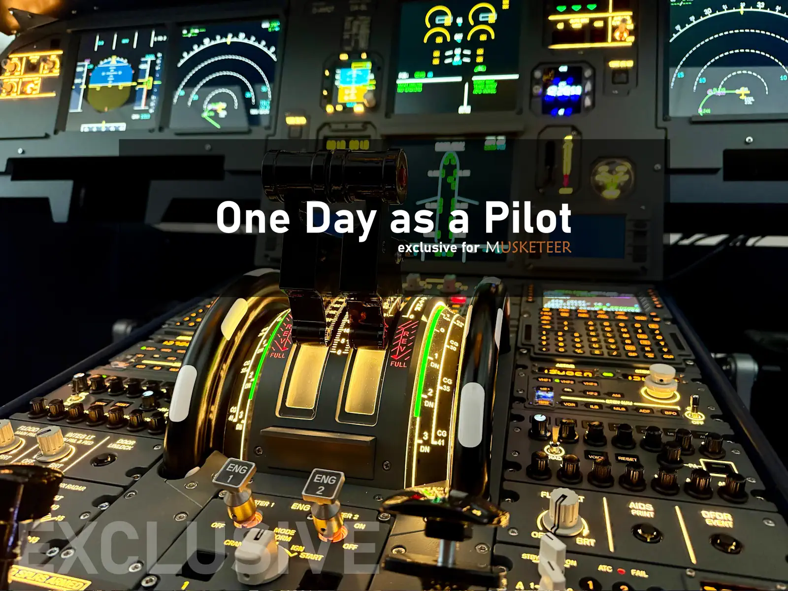 ODAP - One Day as a Pilot (Musketeer only!)